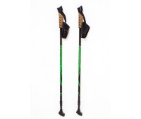 Телескопические палки для скандинавской ходьбы Vinson Plus зеленые